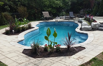 Conveyor Belt Option